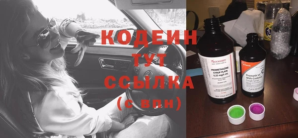 прущие грибы Алзамай
