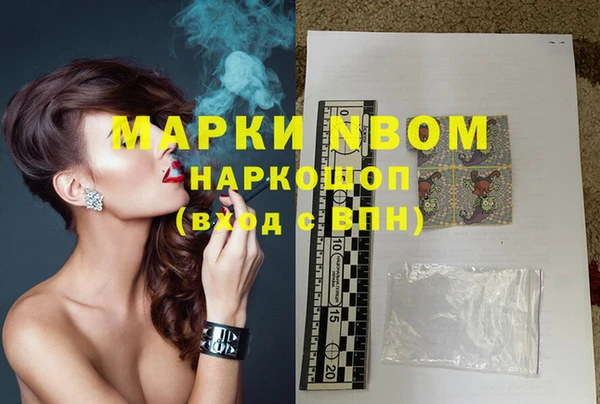 прущие грибы Алзамай