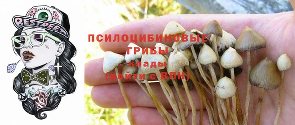 эйфоретик Алексеевка