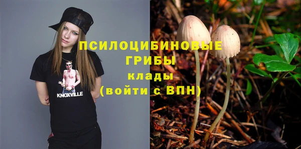 прущие грибы Алзамай