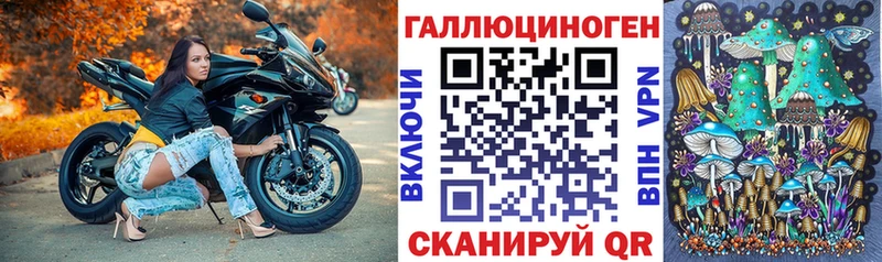 Псилоцибиновые грибы MAGIC MUSHROOMS  магазин продажи наркотиков  Волгодонск 